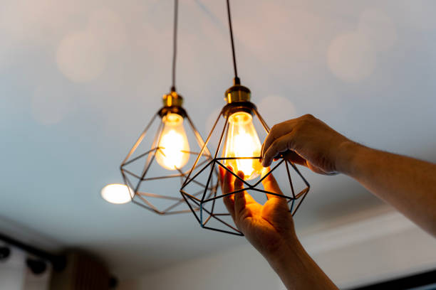 Best Electric Panel Repair  in Blackshear, GA